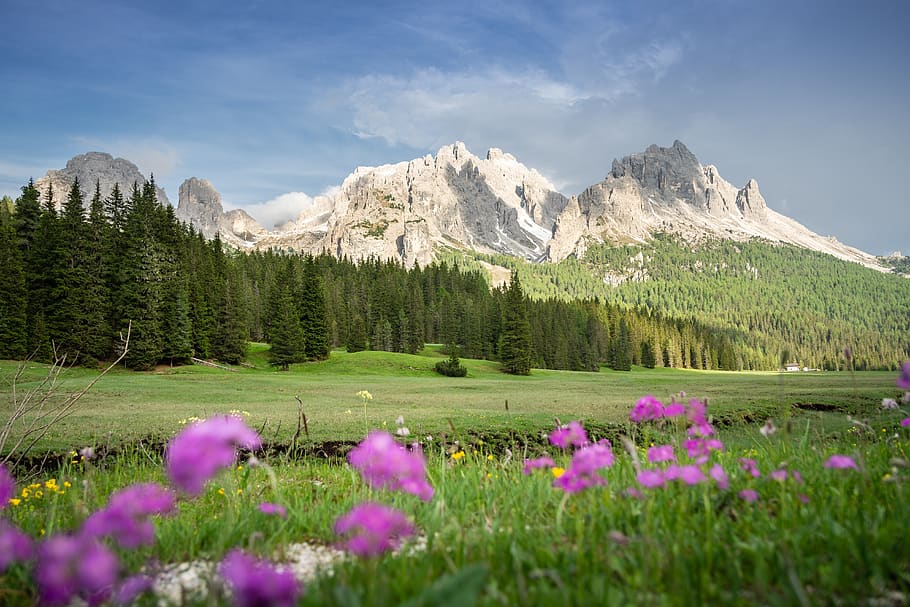 alpine, dolomit, italia, lanskap pegunungan, panorama, alm, panorama alpine, misurina, menanam, keindahan di alam