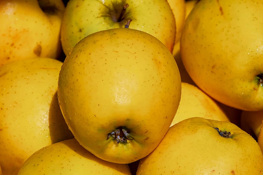 pear lot, apple, golden delicious, fruit, vitamins, tasty, frisch, sweet, food, vitaminhaltig