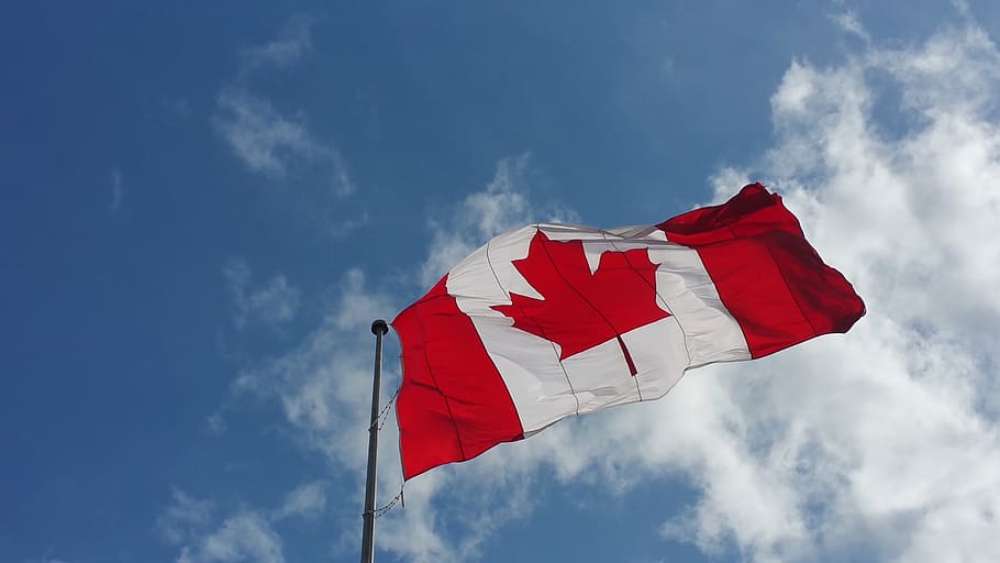 bandeira canadense, canadá, bandeira, país, nacional, patriótico, vermelho, branco, orgulho, folha