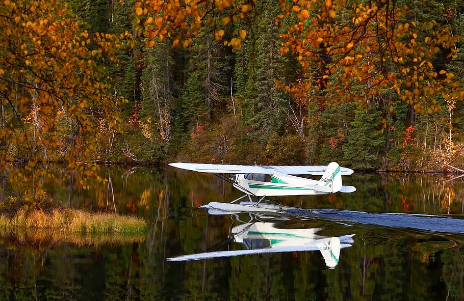 seaplane landing, lake, Seaplane, landing, Quebec, Canada, airplane, photos, plane, public domain