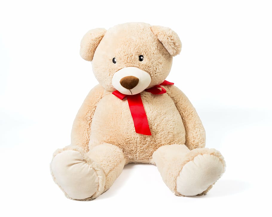 boneka beruang yang suka diemong, boneka, beruang, suka diemong, mainan, imut, lembut, beruang teddy, boneka teddy bear, latar belakang putih