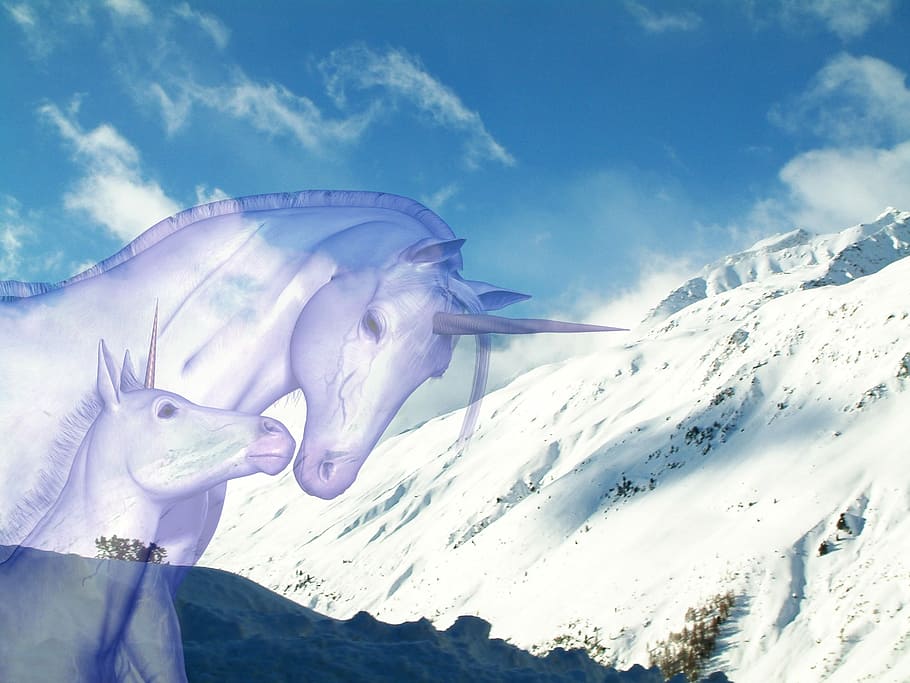 unicornio, nieve, naturaleza, invierno, temas de animales, animal, temperatura fría, fauna animal, montaña, animales salvajes