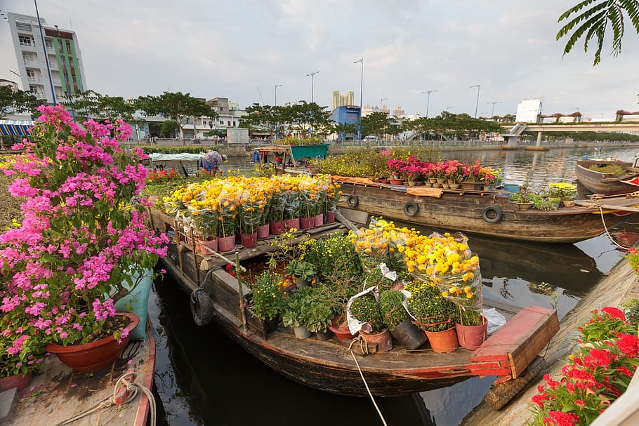 flor, mercado, vietnam, la ciudad, cada uno, ho chi minh, el año nuevo lunar, el barco, año, bueno