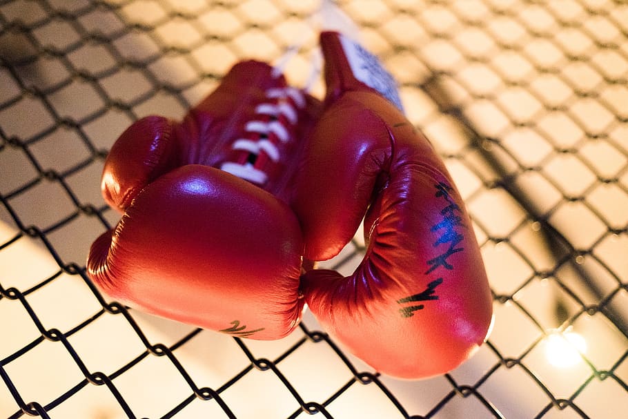 boxing, grove, red, boxing gloves, wrestle, close-up, fence, chainlink fence, pattern, security