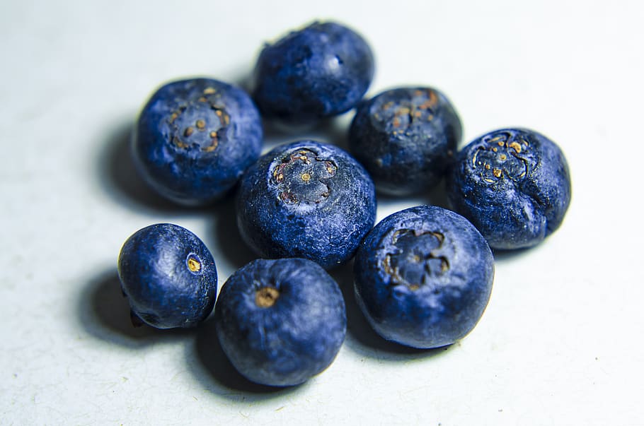 blueberry, buah, tanaman, jus, makanan, segar, makanan dan minuman, makan sehat, kesegaran, buah berry