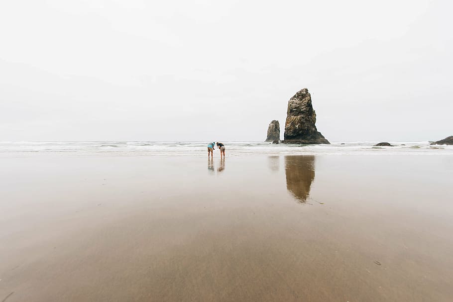 dois, pessoa, formação rochosa, beira mar, em pé, pessoas, marrom, areia, perto, oceano