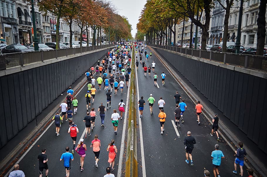 personas, correr, durante el día, maratón de la calle, competidores, maratón, saludable, calle, atleta, carretera