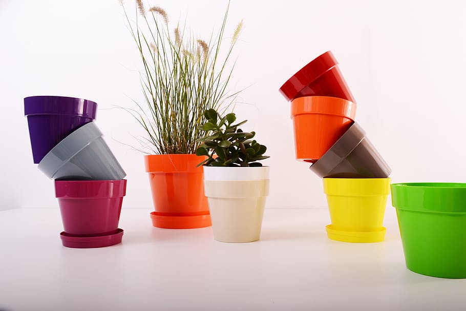 assorted-color flowerpots lot, white, surface, plants, flowerpot, plastic, color, colorful, pot, garden