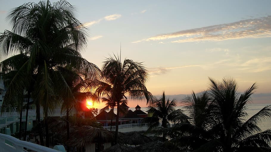 jamaica, puesta de sol, cari, caribe, viajes, palmera, clima tropical, playa, mar, vacaciones