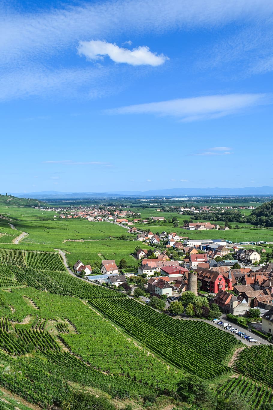 kaysersberg, alsace, france, buildings, panorama, vineyards, cityscape, travel, sights, landscape
