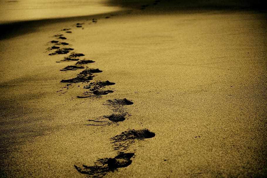 foto en escala de grises, orilla del mar, arena, pasos, huellas, playa, costa, caminar, océano, vacaciones