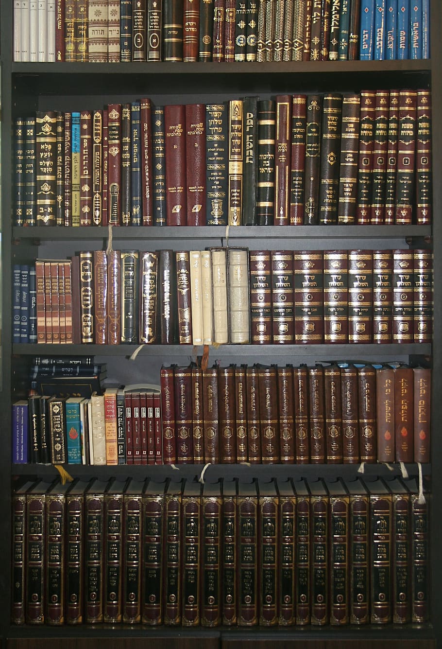 books, wardrobe, jewish books, jewish, shelves, bookcase, shelf, publication, book, large group of objects