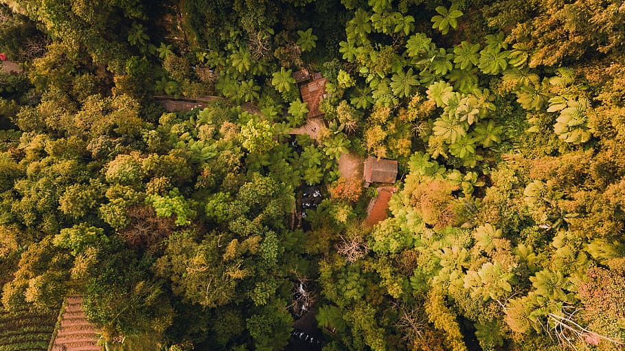 Углы в природе. Terrestrial (subaerial) ландшафт.