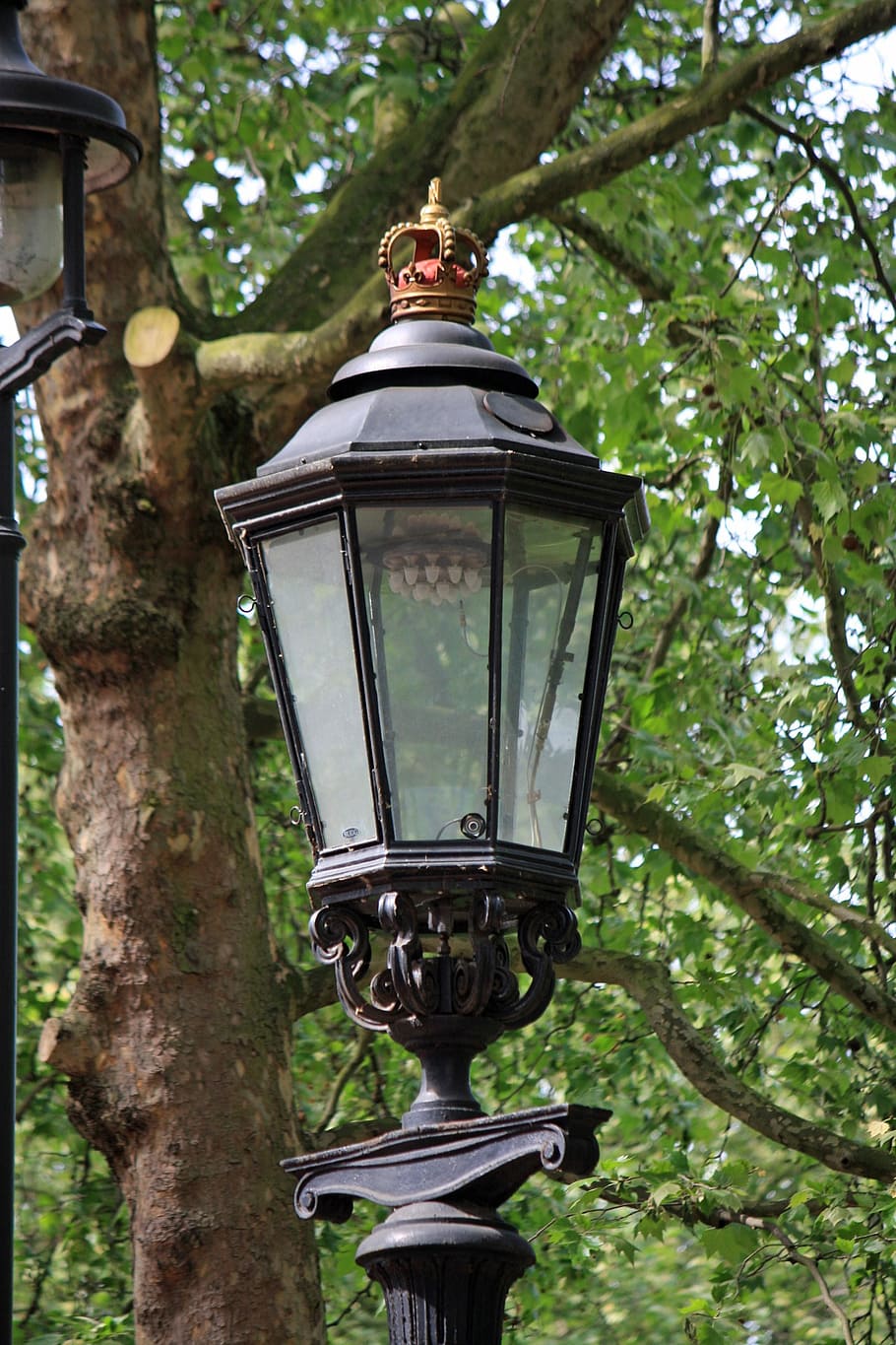 lampu jalan, lampu, cahaya, model tahun, tua, mahkota, mahkota kerajaan, london, Inggris, pohon