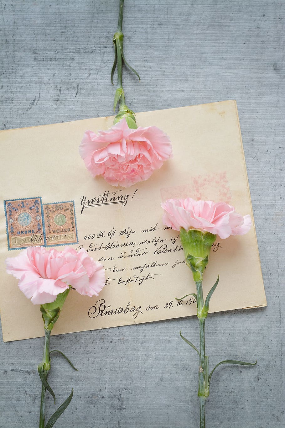 mail envelope, three, pink, carnation flowers, mail, envelope, carnation, flowers, cloves, cut flowers