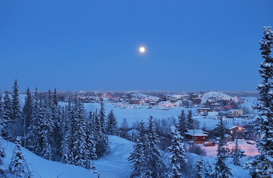 Yellowknife, Northwest Territories, yellowknife, northwest territories, winter, night, canada, moon, snow, trees, cold temperature