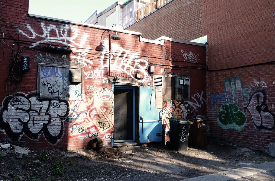 graffiti, spray paint, bricks, back door, alley, trash can, garbage, street, dirt, architecture