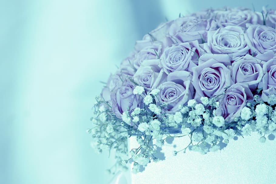 flower, bouquet, rose, roses, pink, color, flowers send, to send flowers service, petal, romantic
