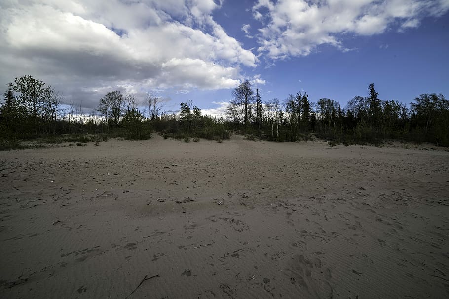 sand dune, lesser, slave lake, provincial, park, Clouds, Lesser Slave Lake Provincial Park, alberta, beach, canada