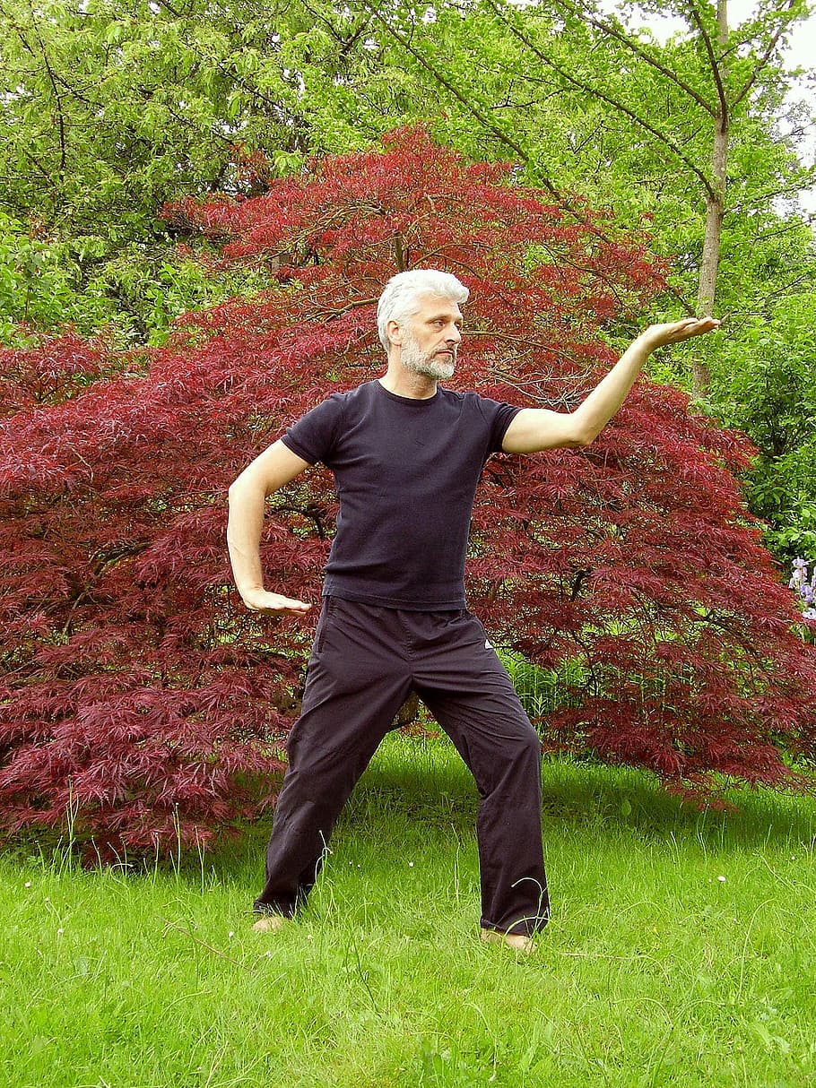 man, performing, yoga, grass, red, leaf plant, daytime, Tai Chi, Taiji, Qigong