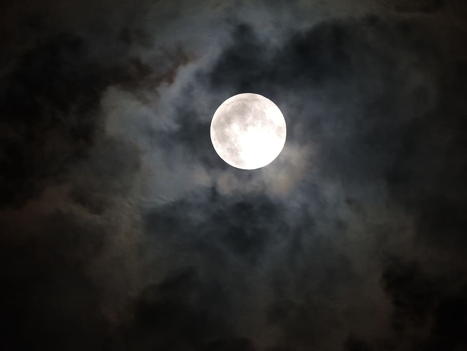 Moonlight, Moon, Spooky, Cloudy, Night, cloudy night, astronomy, scenics, sky, beauty in nature