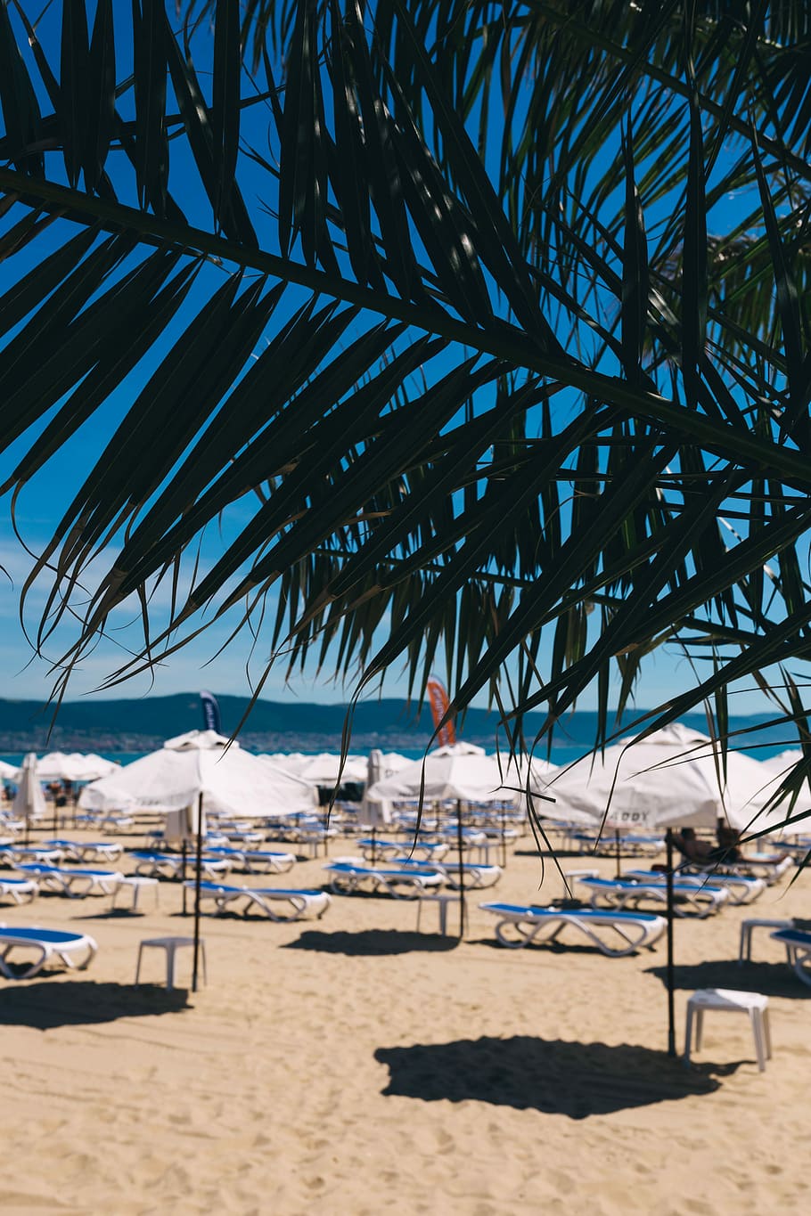 lounge chairs, sunny, beach, Umbrellas, lounge, chairs, Sunny Beach, Bulgaria, ocean, sand