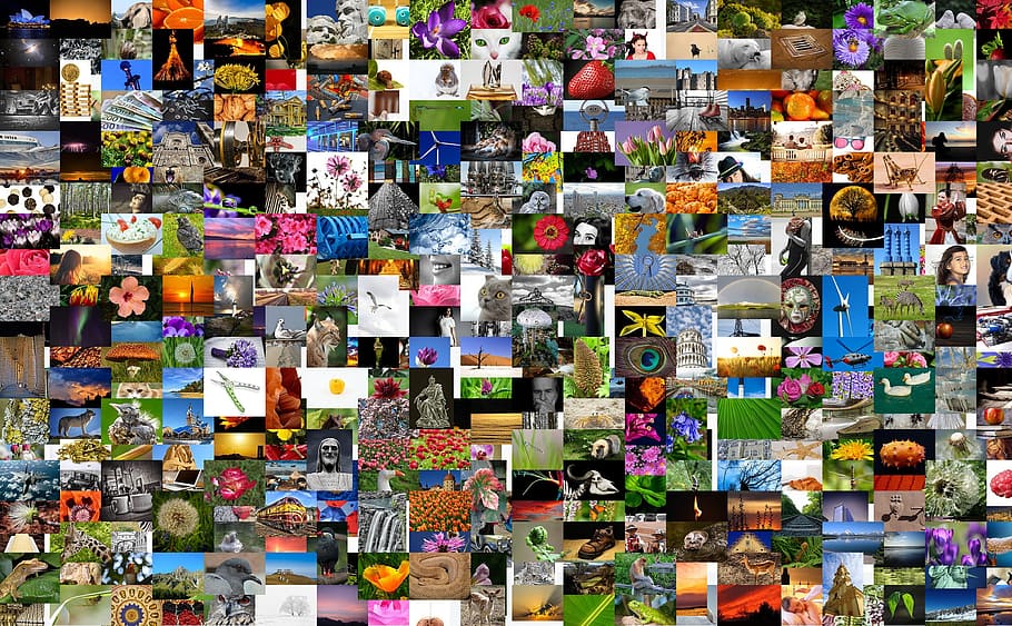 collage, random, photos, images, photo collection, photo album, mosaic, recordings, diversity, many