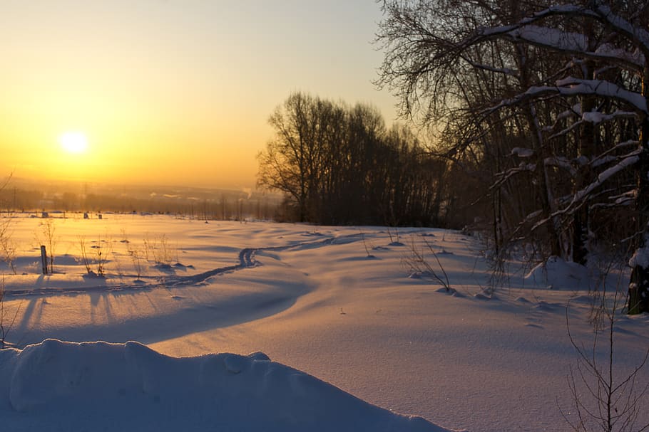 inverno, natureza, madrugada, paisagem, céu, belo, sol, friamente, neve, fácil
