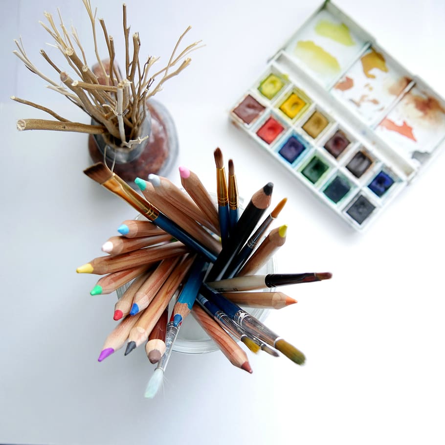 watercolor, plant, pencils, brushes, paint, creative, doodle, creativity, colorful, desk