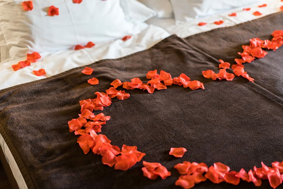 素敵な, ベッド, バラの花びら, ロマンチック, ベッドオブローズ, 花びら, 美しい, ベッドルーム, カップル, 紳士