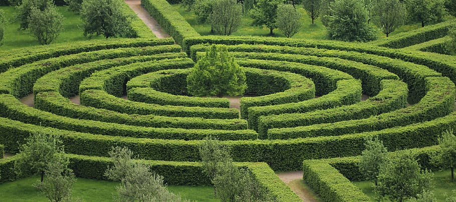 green maze hedge, park, maze, green, green color, plant, growth, pattern, beauty in nature, land