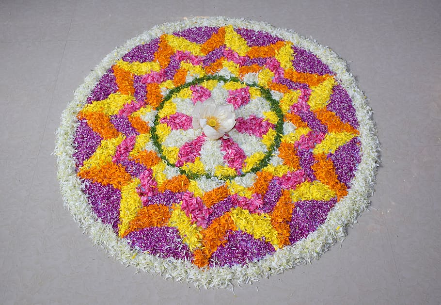 karpet bunga, pookalam, onapookalam, merangkai bunga di tanah, onam, festival kerala, kerala, multi-warna, latar belakang abu-abu, foto studio