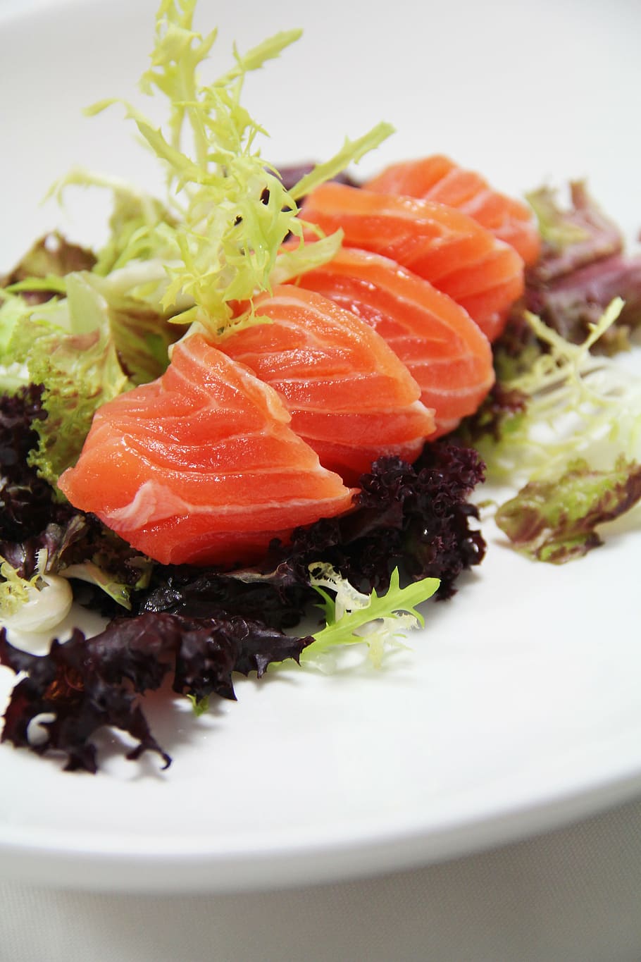 sushi on plate, seafood, salmon, meat, food, food and drink, plate, freshness, healthy eating, ready-to-eat