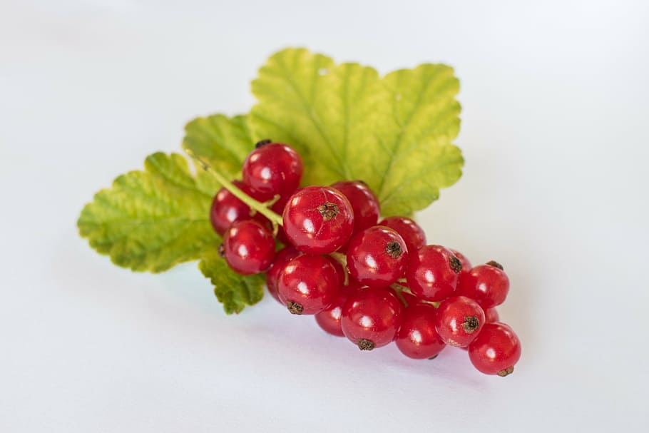 round red fruits, currants, red summer, healthy, fruits, berries, fruit, close, food and drink, food