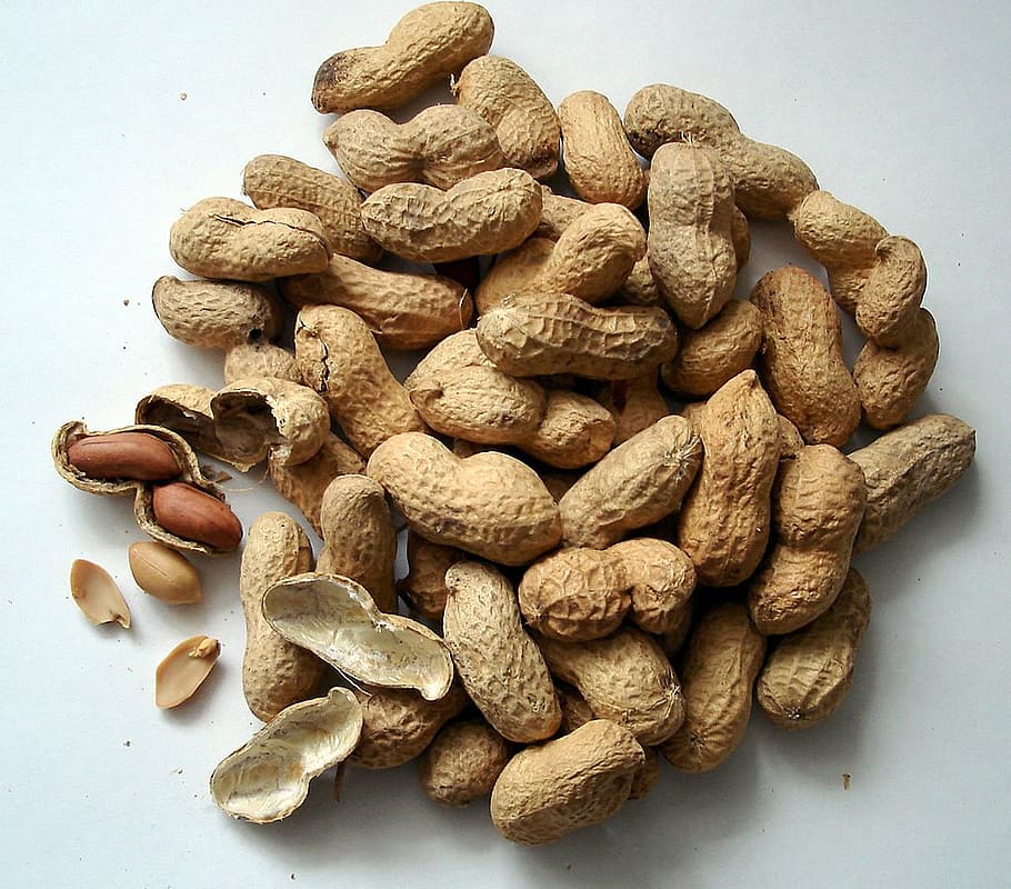 peanuts with shell, peanuts, nuts, cores, snack, food and drink, food, large group of objects, still life, nut