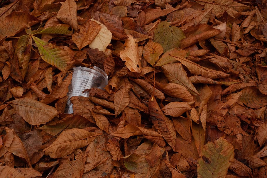 plastic, plastic cup, leaves, packaging waste, take away, garbage, waste, leaf, plant part, autumn
