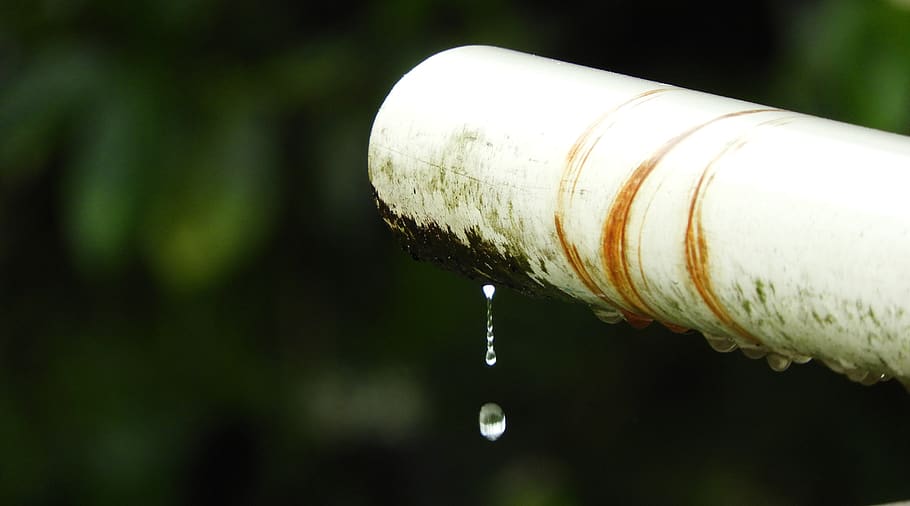 outdoors, leak, rain, drop, water, focus on foreground, close-up, nature, pipe - tube, leaking