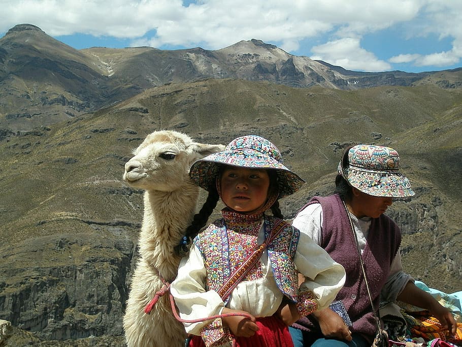 Peru, Aborigin, Lama, Kostum, Andes, liburan, costování, orang-orang, gunung, asia