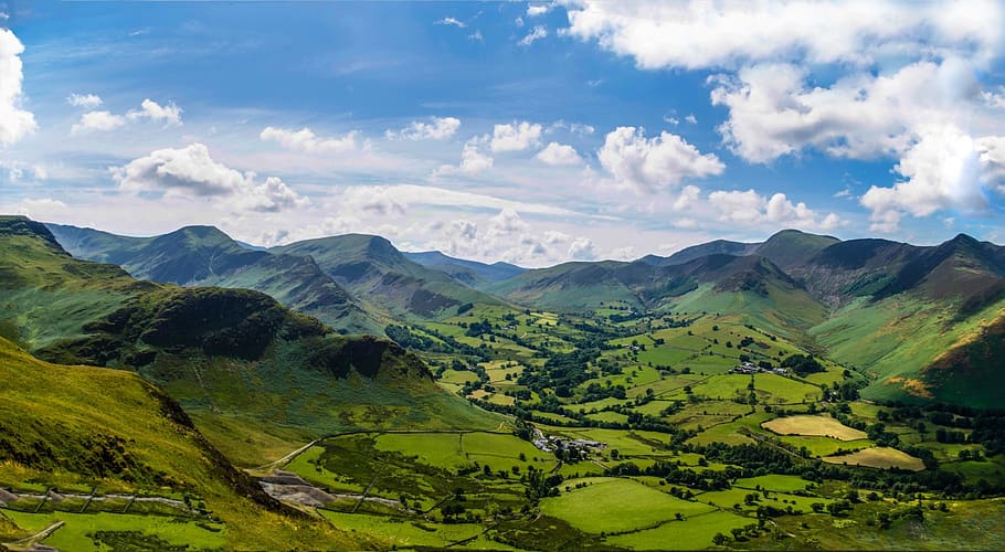 landscape, spring, summer, england, north, lake district, green, nice, tree, nature
