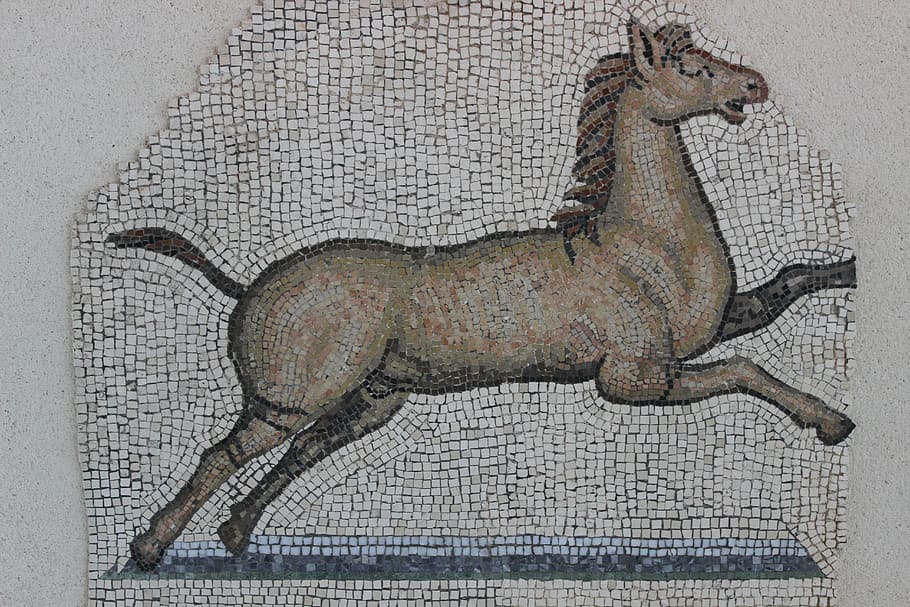 antique, mosaic, rome, vestige, archaeology, horse, art and craft, representation, creativity, animal representation