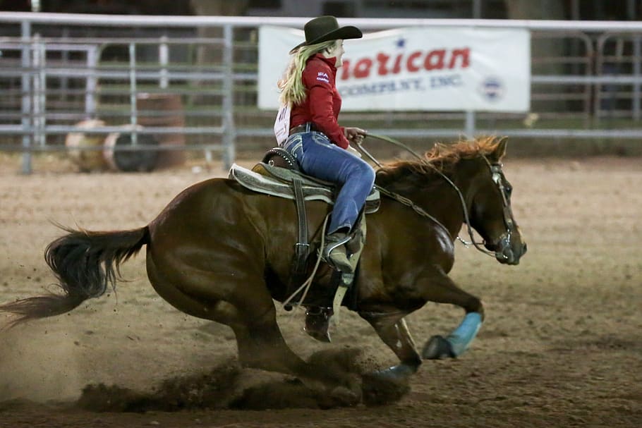 rodeo, horse, barrel, western, animal, co, cowgirl, trot, speed, woman