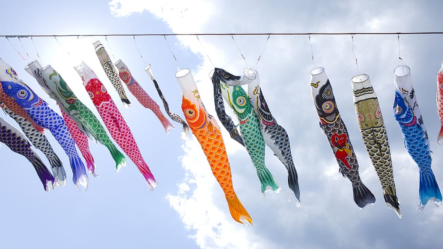 céu, carpa, japão, peixe, vívido, paisagem, estilo japonês, serpentina de carpa, céu azul, ornamento