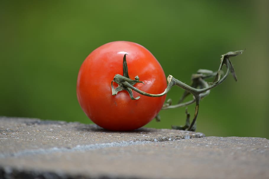 tomato, food, cookout, food and drink, vegetable, fruit, red, healthy eating, wellbeing, freshness