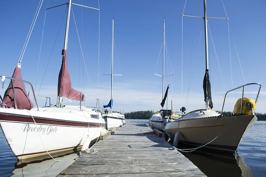 Boat, Boating, North, Canada, Caribou, water, travel, nature, fishing, sea