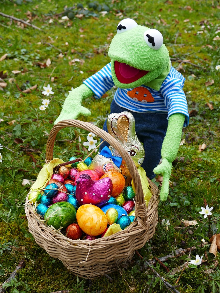 kermit frog, plush, toy, basket, easter eggs, easter, search, osterkorb, easter nest, to find
