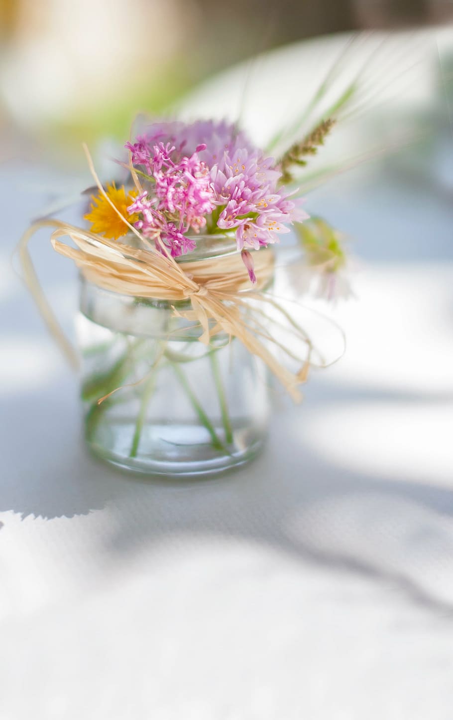 selective, focus photography, pink, petaled flower, clear, glass jar, white, surface, flowers, glass