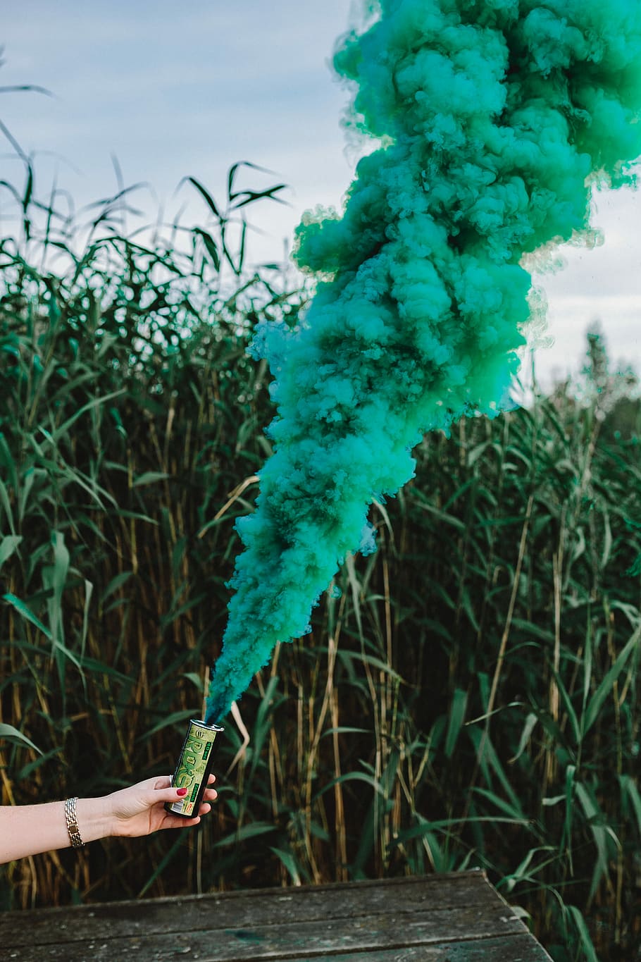 bomba de fumaça verde, bomba de fumaça, resumo, plano de fundo, ao ar livre, fumaça verde, verde, natureza, humano Mão, planta