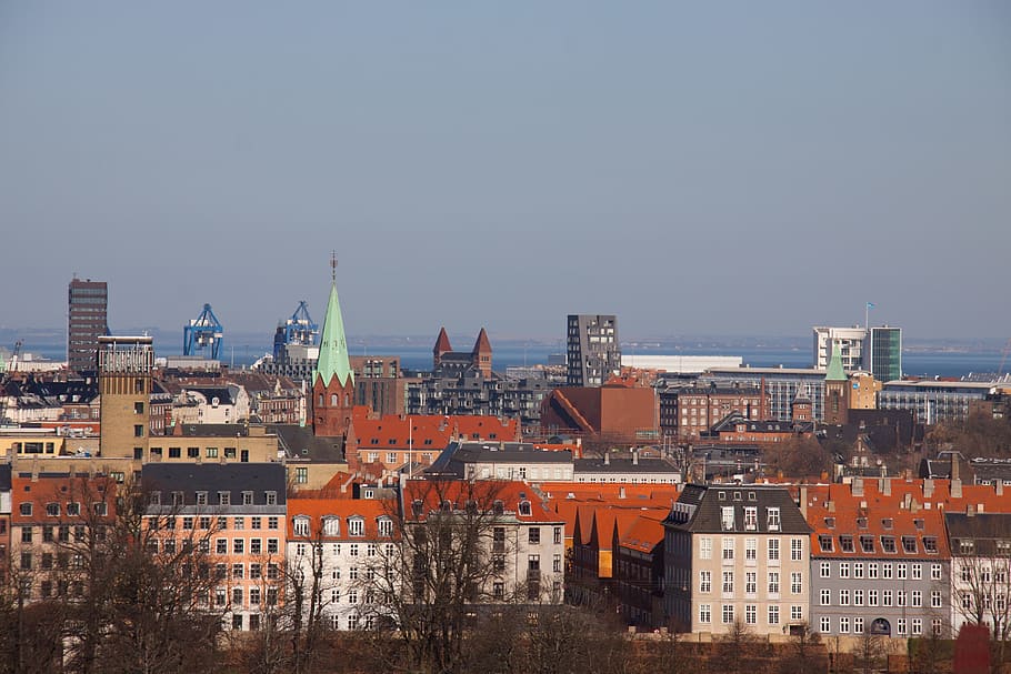 코펜하겐, 덴마크, 도시, 받아, 보기, 타워, 옥상, 건물, 주택, 건축물