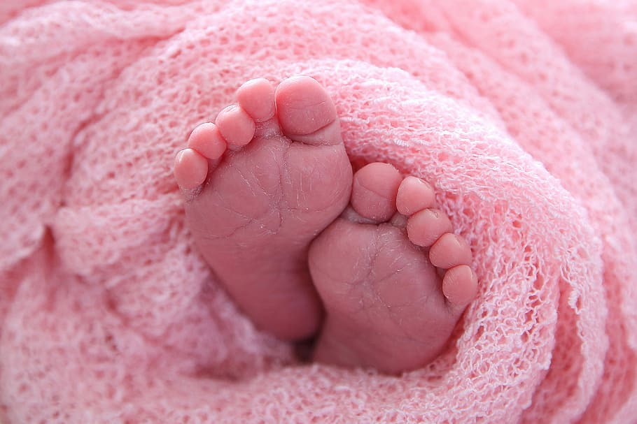 baby, feet, wrapped, pink, apparel, foot, close up, petit, new born, child