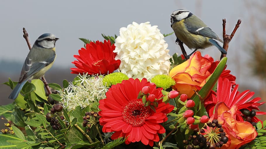 red, white, flowers, bouquet of flowers with birds, blue tits, gerbera, photo of titmouse, flower arrangement, still life, colorful